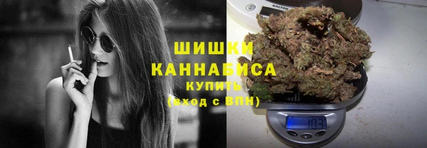 mdpv Каменногорск