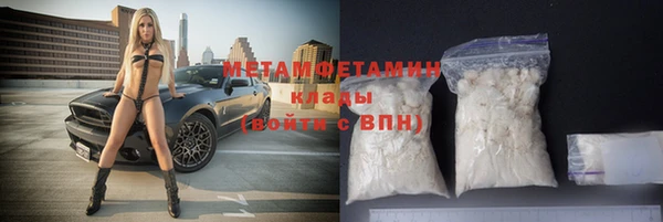 индика Инта